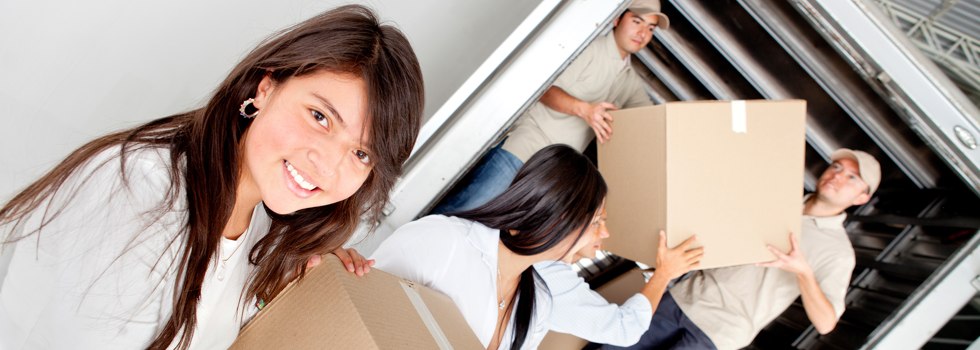 Professional Removalists Ooma
